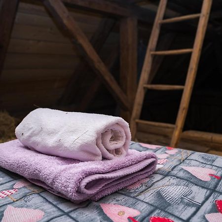 Ucni Ranc, Bohinj 아파트 외부 사진