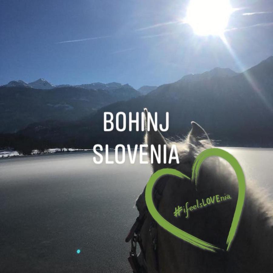 Ucni Ranc, Bohinj 아파트 외부 사진
