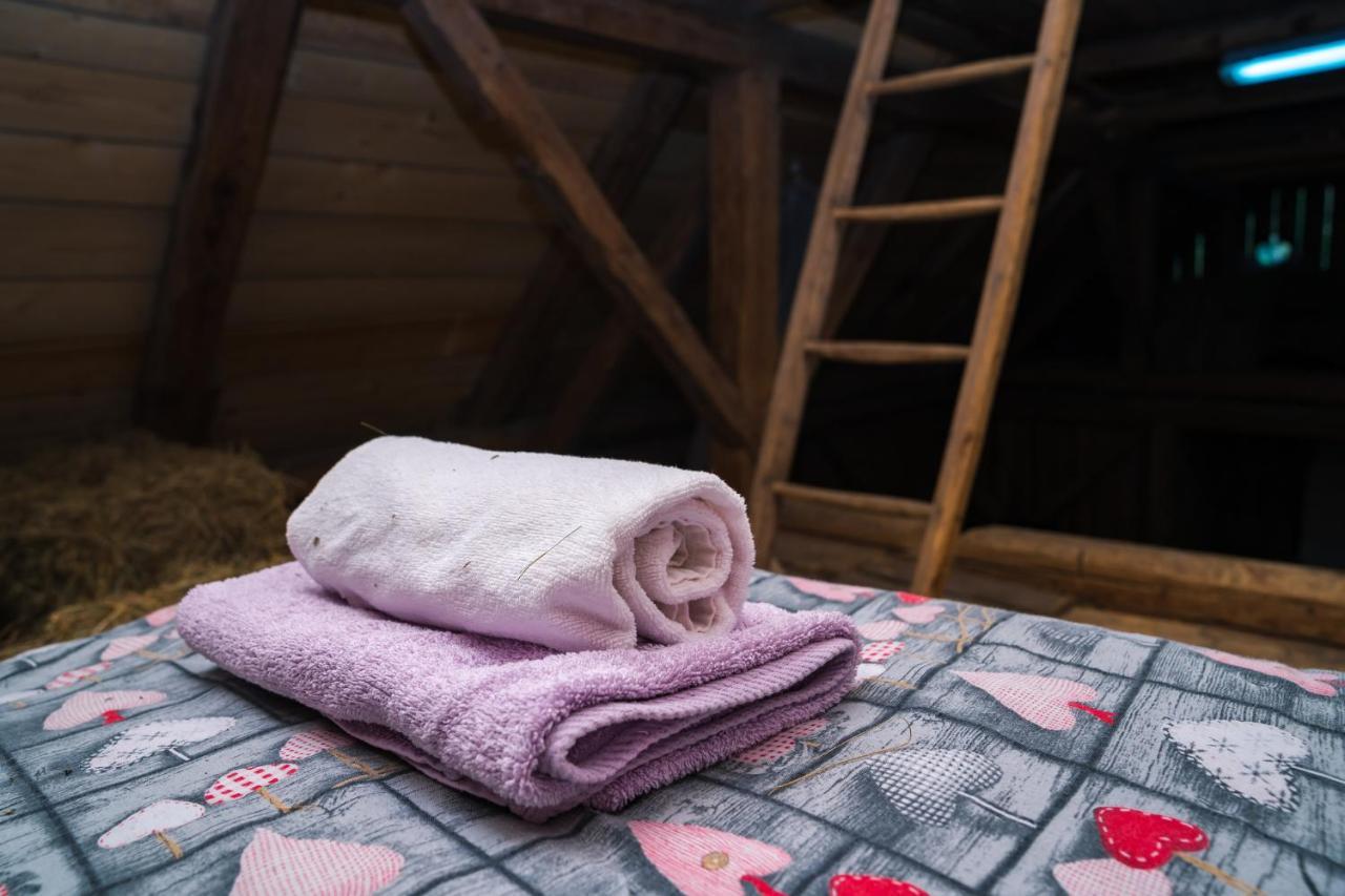 Ucni Ranc, Bohinj 아파트 외부 사진