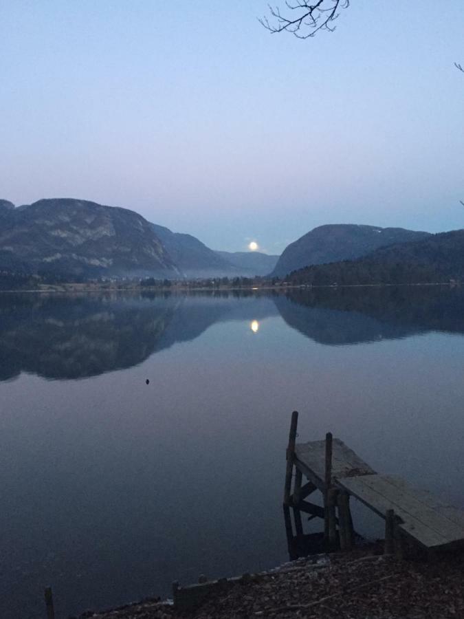 Ucni Ranc, Bohinj 아파트 외부 사진