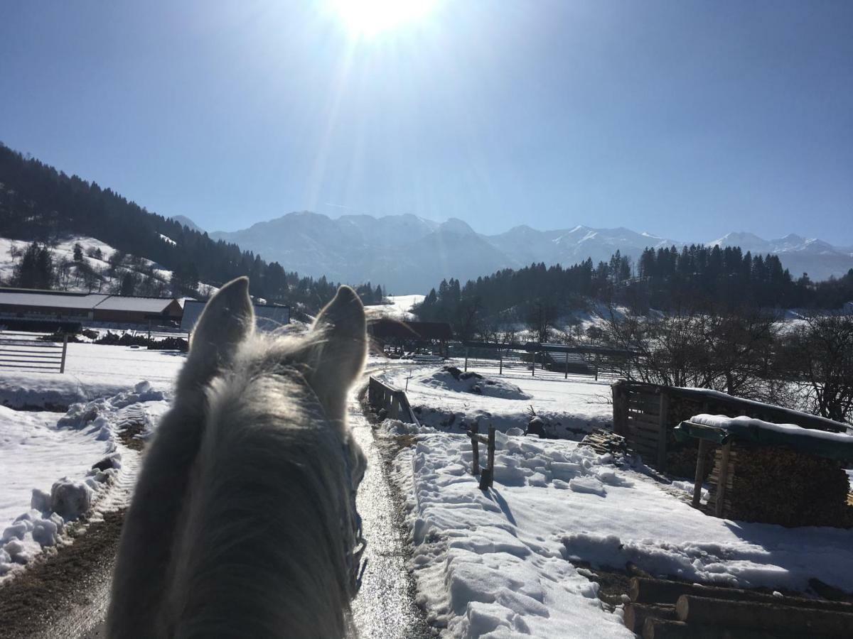 Ucni Ranc, Bohinj 아파트 외부 사진